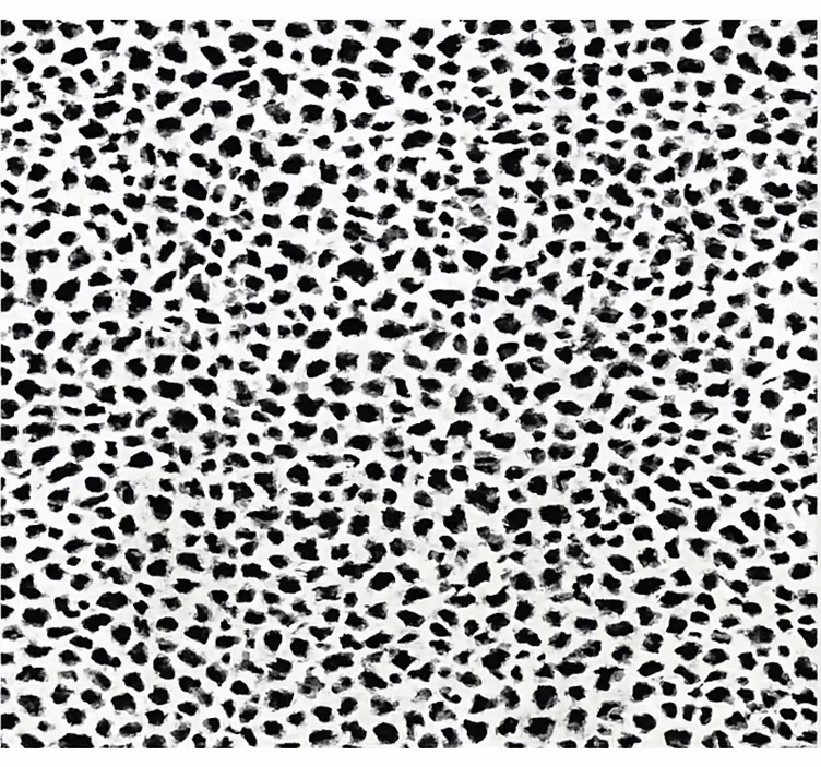 Svart rullgardin i monokrom leopardmönster - Tenstickers