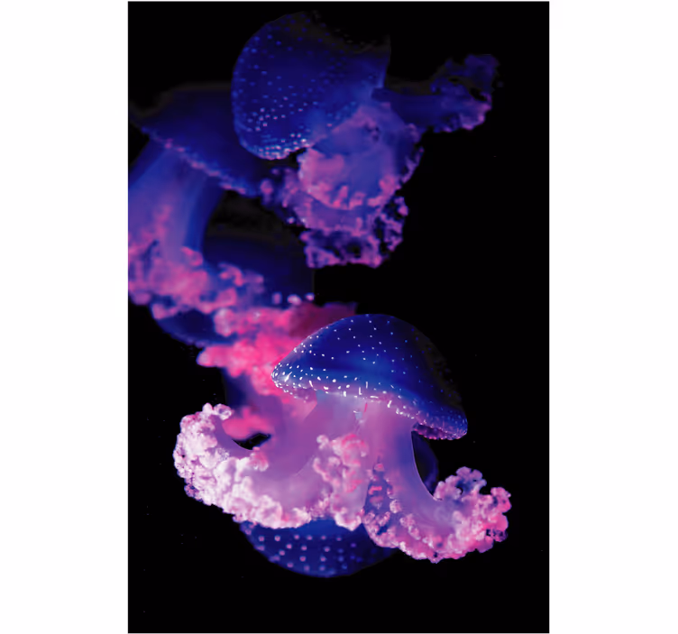 Rullgardin badrum lila manet - Tenstickers