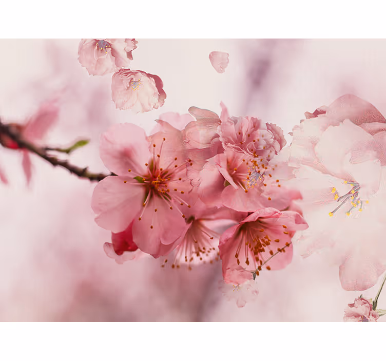 Rullgardin badrum badblommor - Tenstickers