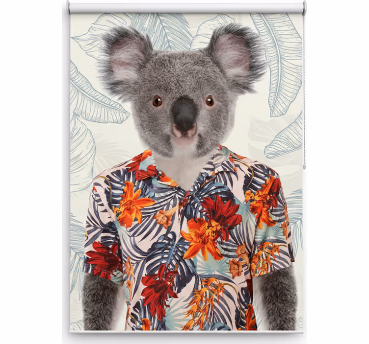 Rullgardin tonåringar elegant koala - Tenstickers