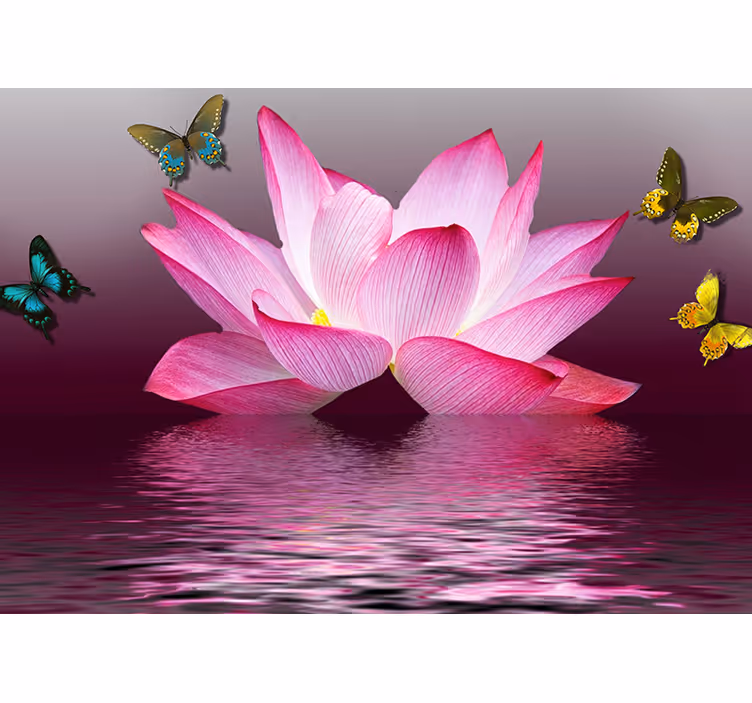 Rullgardin zen rosa lotusblomma med fjärilar - Tenstickers