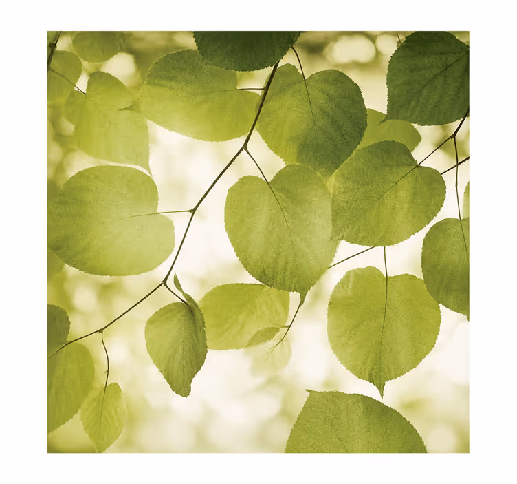 Rullgardin huvudsovrum 200 cm blommor blad - Tenstickers