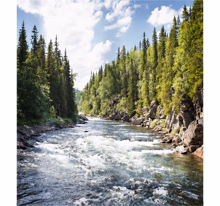 Rullgardin vardagsrum sjö i skogen - Tenstickers