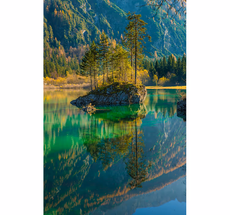 Reflekterad träd natur rullgardin - Tenstickers