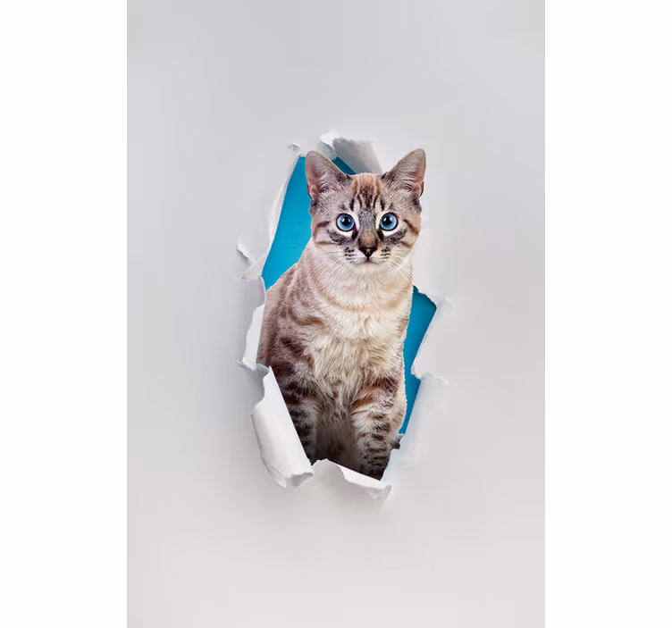 Katt olika djur rullgardin - Tenstickers