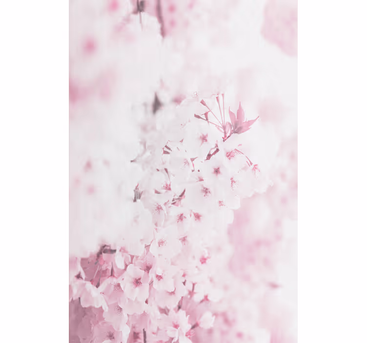 Ljusrosa blomma bakgrund blomma rullgardin - Tenstickers