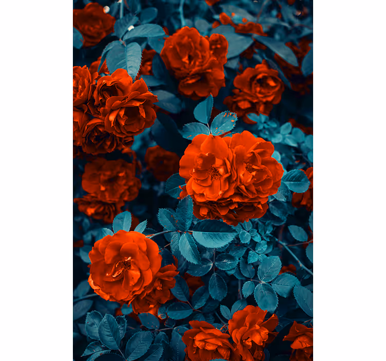 Röd nejlika blomma och blad blomma rullgardin - Tenstickers
