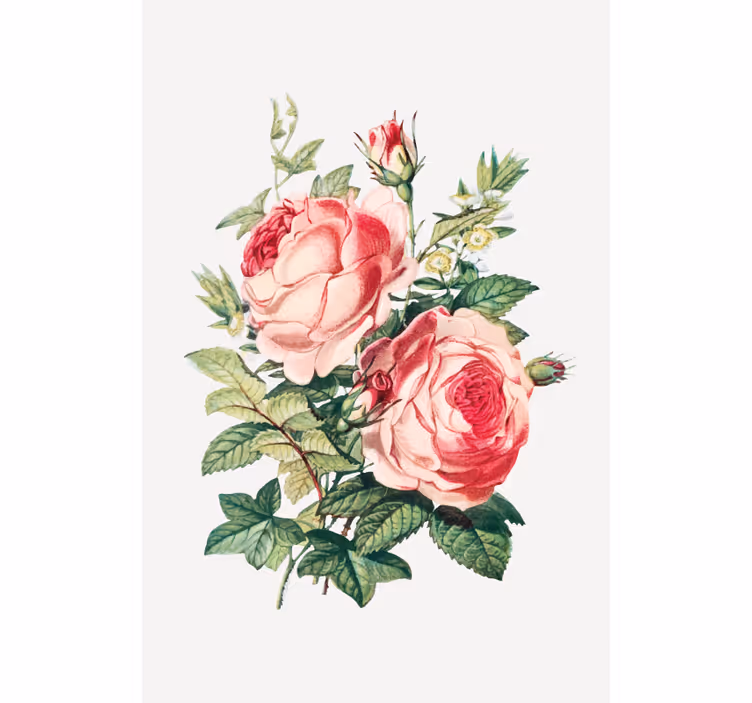 Romantiska rosenblomningar Rullgardin blommor och växter - Tenstickers