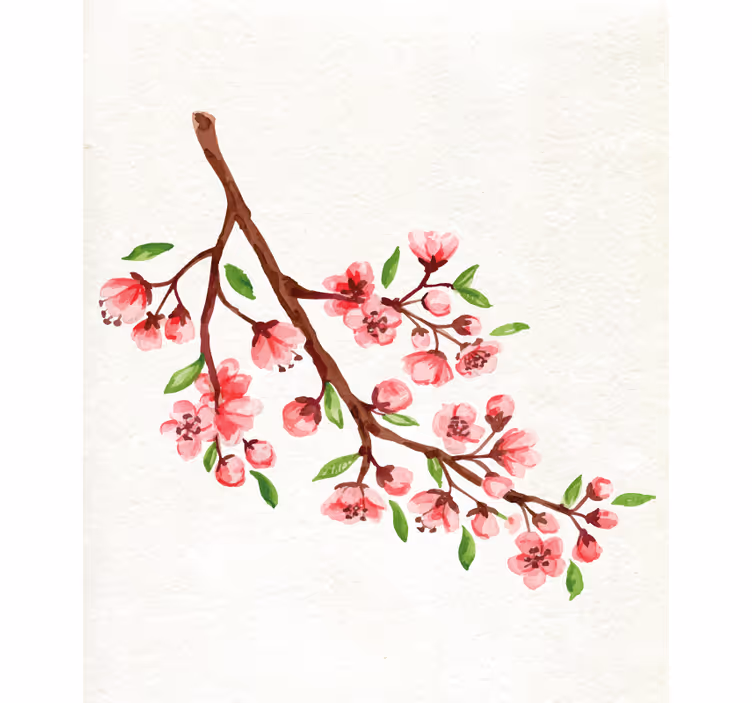 Akvarell rosa körsbärsblommor blomma rullgardin - Tenstickers