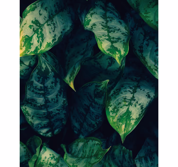 Maranta blad blomma rullgardin - Tenstickers