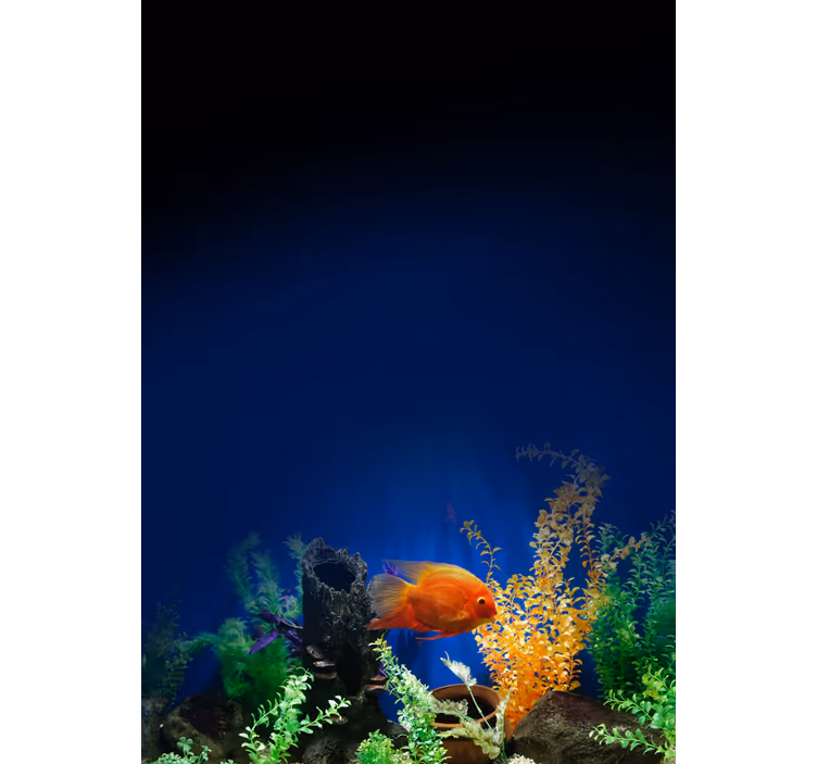 Akvarium liv olika djur rullgardin - Tenstickers