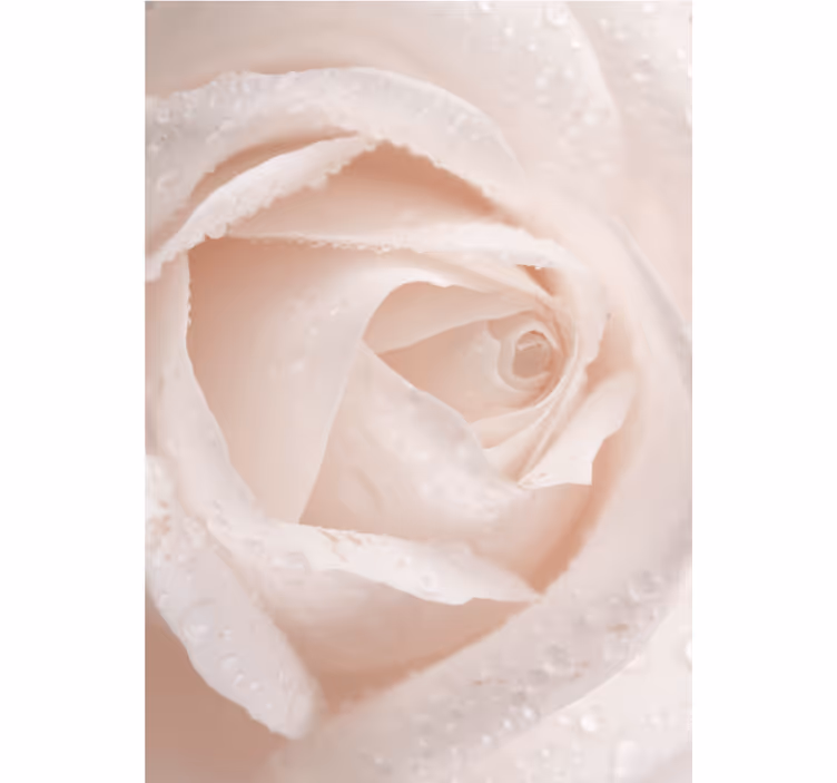 Delikat rosenblad Rullgardin blommig - Tenstickers