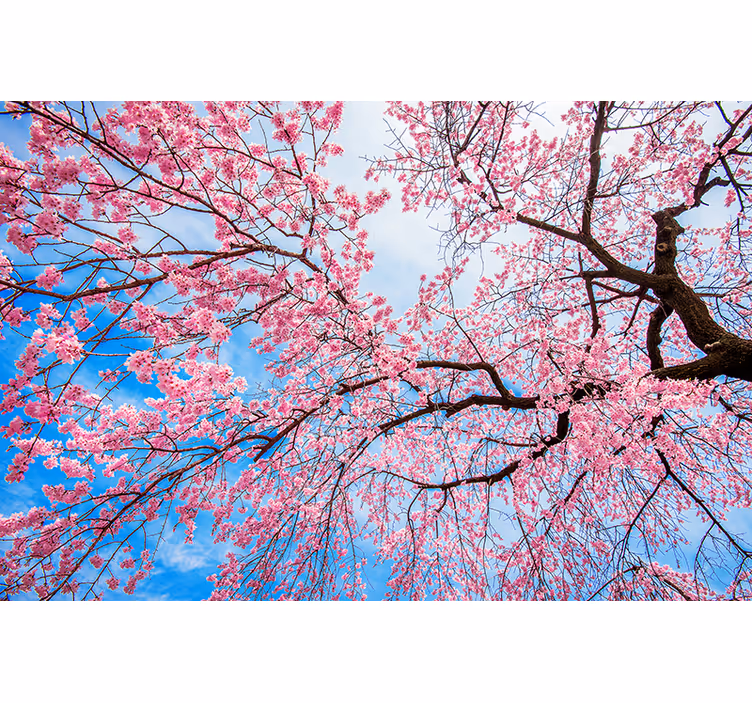 Sakura lem Rullgardin fler blommor och växter - Tenstickers