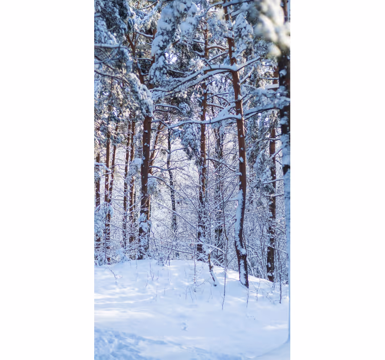 Vit skog med stora träd rullgardin - Tenstickers