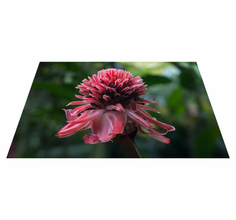 Bordstabletter original tropisk blomstarrangemang - Tenstickers