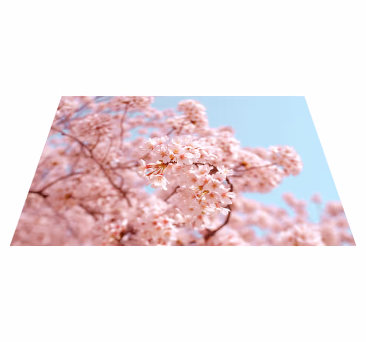 Rosa körsbärsblommor och träd blommor bordstabletter - Tenstickers