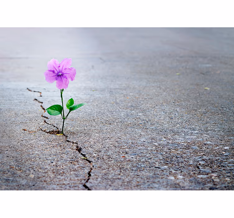 Tapet för blommor 3d - Tenstickers