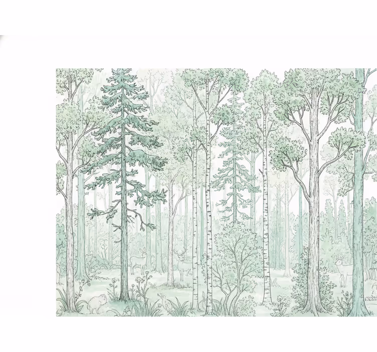 Fototapeter skogar mint skiss av skog - Tenstickers