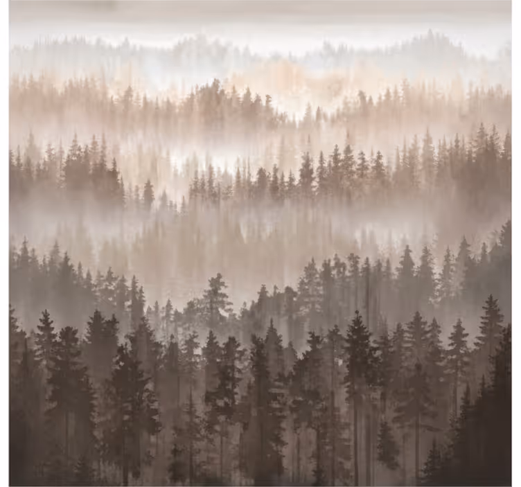 Fototapeter landskap trädkåda lager - Tenstickers