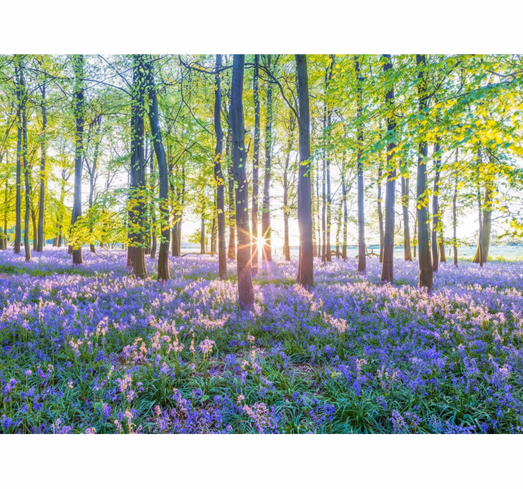 Fototapeter skogar naturinspirerad modernism - Tenstickers