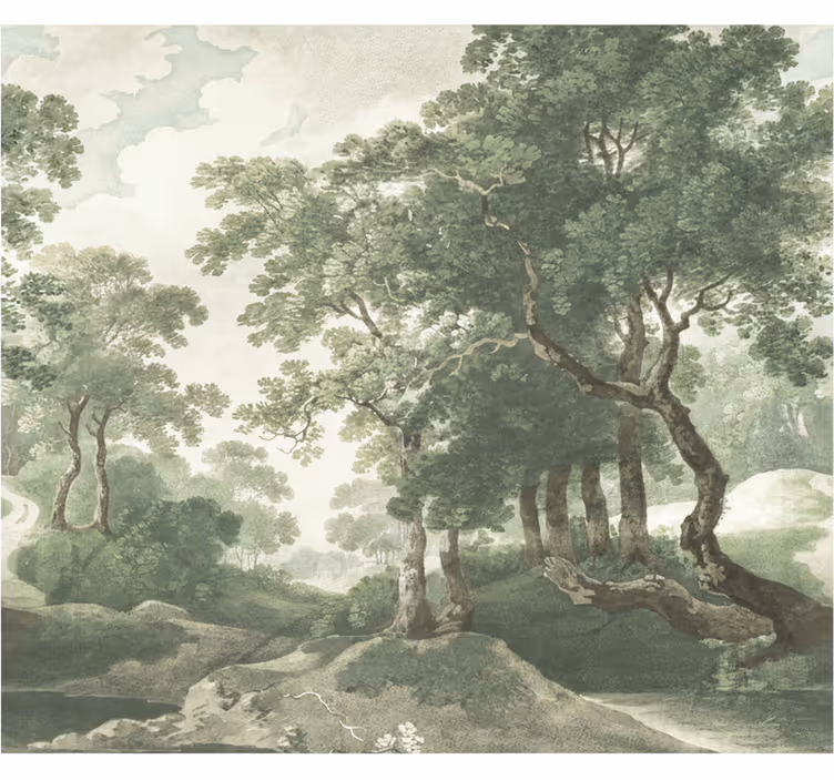 Fototapeter skogar klassisk tidlös natur - Tenstickers
