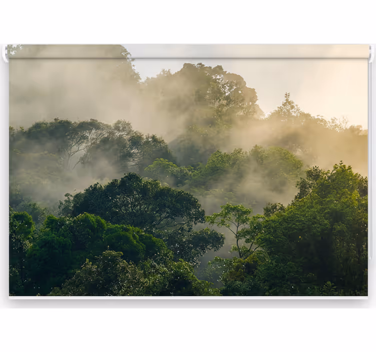 Fototapet djungel grönskande djungelcanopy - Tenstickers