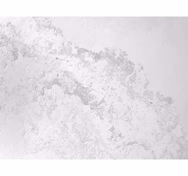 Fototapeter vit grå pantone textur - Tenstickers