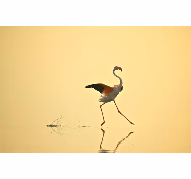 Fototapeter gul roliga springande flamingos - Tenstickers