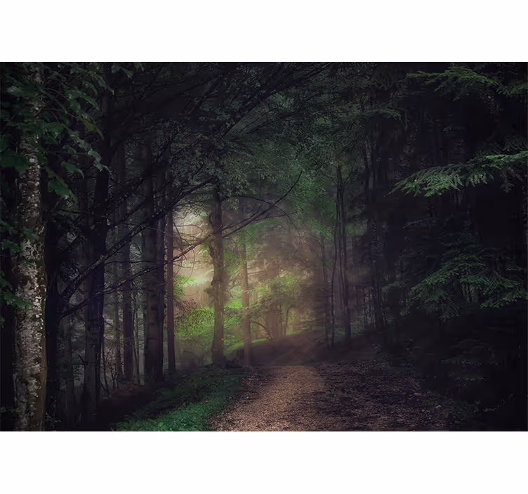 Fototapeter korridor urskog - Tenstickers