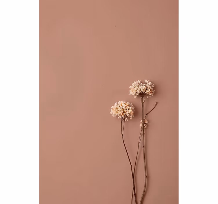 Fototapeter biljetter torkade blommor - Tenstickers