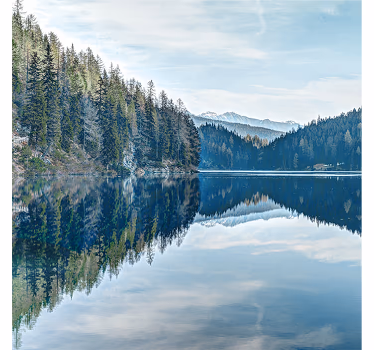 Fototapeter biljetter natur skog älv - Tenstickers
