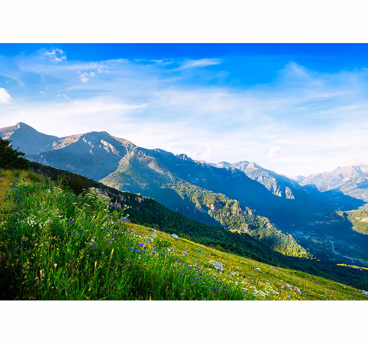 Utsikt över bergen bergfototapet - Tenstickers