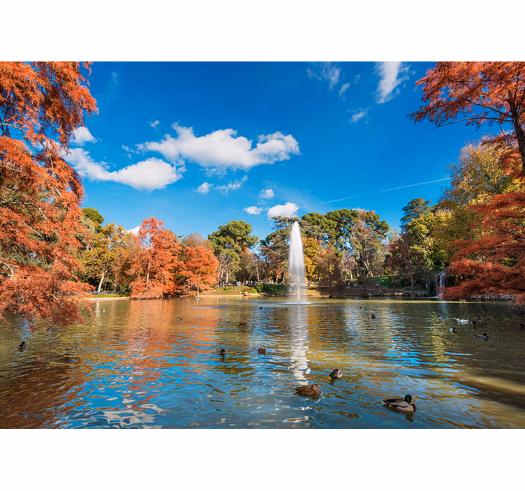 Retiro park i höstens stadsfototapet - Tenstickers