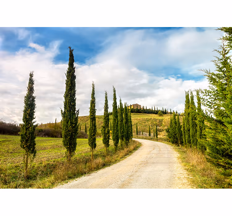 Toscana landskap fototapet - Tenstickers