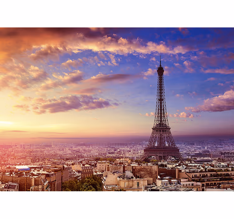 Parisvy med luftfototapet - Tenstickers