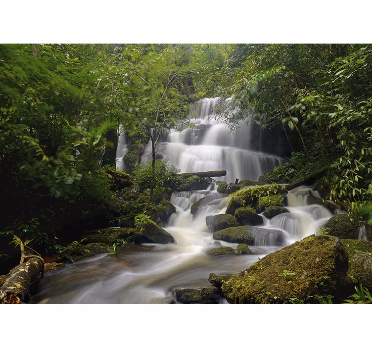 Skog och vattenfall fototapet - Tenstickers