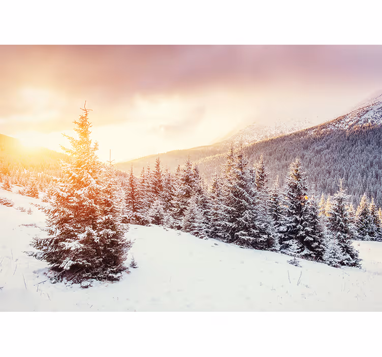 Snöig fototapet - Tenstickers