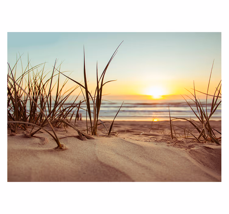 Solnedgång och strand fototapet - Tenstickers