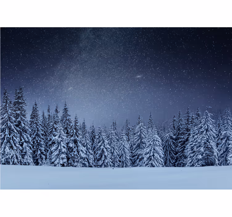 Snöigt talllandskap Fototapeter Natur - Tenstickers