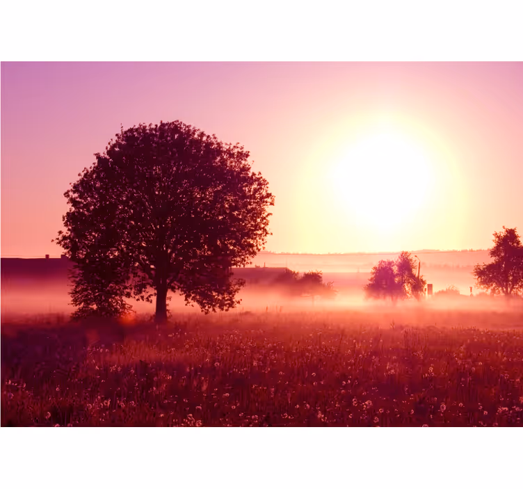 Tyst kväll natur fototapet - Tenstickers