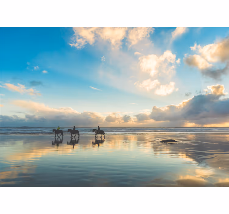 Fototapeter landskap hästryttare vid havet - Tenstickers