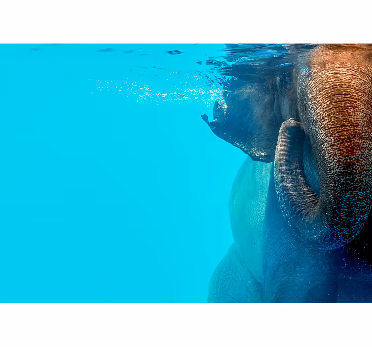 Vardagsrum elefant under havet fototapeta - Tenstickers
