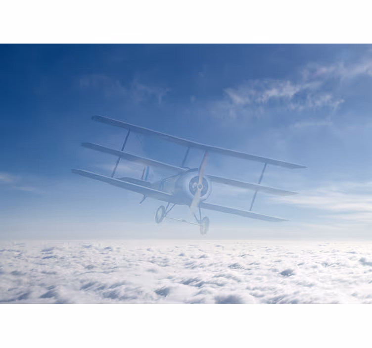 Himmel med fototapeter för flygäktenskap - Tenstickers