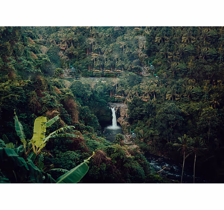 Amazonian vattenfall skog fototapeta - Tenstickers