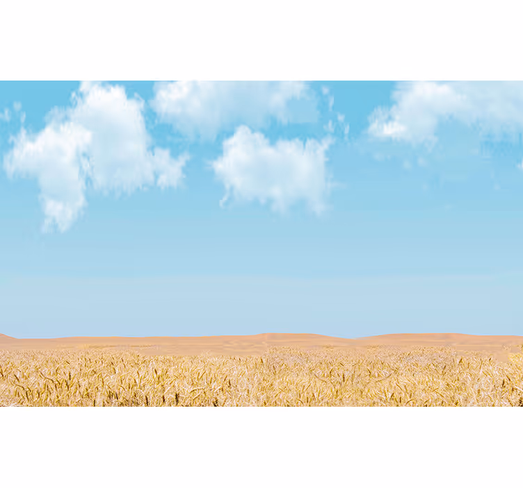 Himmel och vete Fototapeter Landskap - Tenstickers