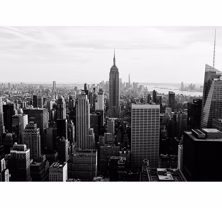 Manhattan från air svartvita fototapeter - Tenstickers