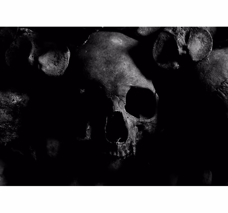 Skalle med vampyr huggtänder vardagsrum fototapeta - Tenstickers