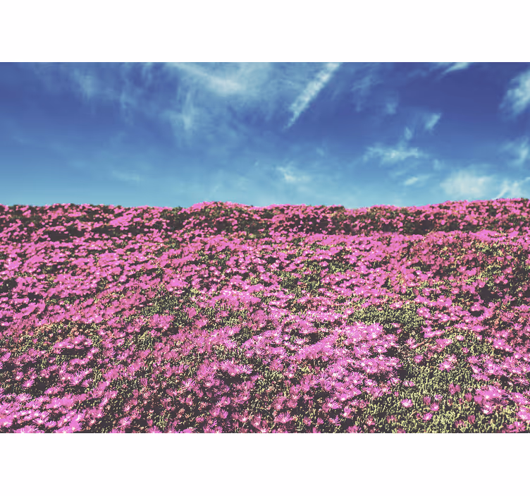 Fototapeter blommor klara rosa blommor - Tenstickers