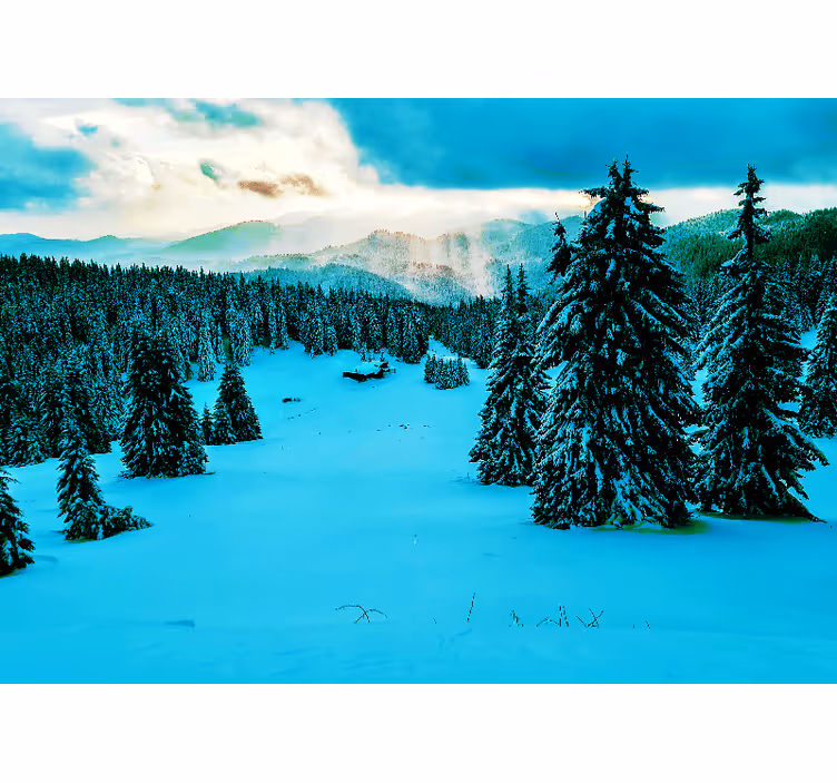Snöig skog fototapeta - Tenstickers