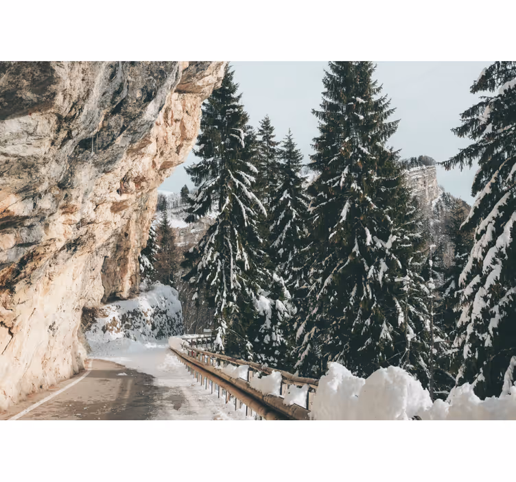 Vinter talllandskap Fototapeter Landskap - Tenstickers